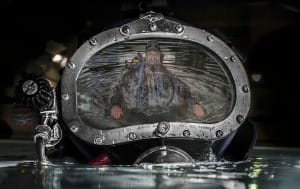 Commercial Diving