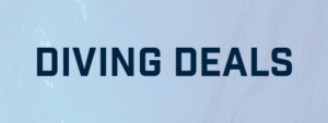 Andark Black Friday Sale Weekend