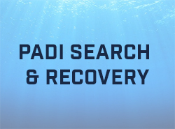 Padi Search and Recovery