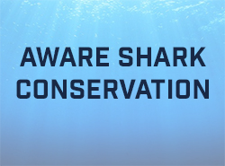 AWARE SHARK CONSERVATION