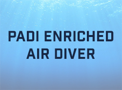 Padi Enriched Air Diver