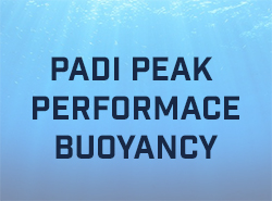 Padi Peak Performance