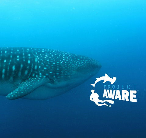 Coral Reef Conservation with Project Aware