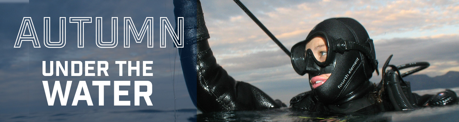 AutumnUnderWaterBanner AutumnUnderWaterBanner