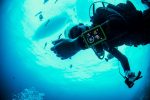 SUUNTO EON Core Dive Computer + Tank Pod Package - Image 5