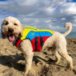 Spinlock Fido Dog Floatation Vest