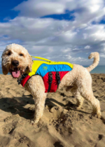 Spinlock Fido Dog Floatation Vest