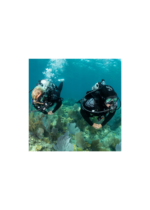 EVERFLEX 3MM WITHOUT BIB & WITHOUT FACE SEAL - Image 4