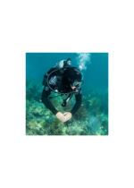 EVERFLEX 3MM WITHOUT BIB & WITHOUT FACE SEAL - Image 5
