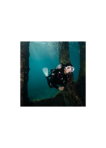 SEAWING SUPERNOVA - Image 11