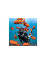 SCUBAPRO SOLO DIVE MASK - Image 5