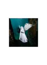 SEAWING SUPERNOVA - Image 12