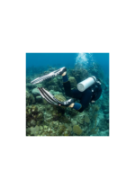 SCUBAPRO JET CLUB FULL FOOT FIN - Image 6