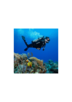 SEAWING SUPERNOVA - Image 7
