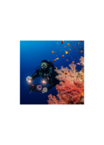 SEA DRAGON 3000F COLOR BOOST LIGHT HEAD (SL6811) - Image 7