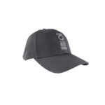 Fourth Element Logo Cap