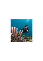 Women's Thermocline Long Sleeve Top - Image 3